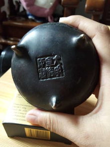 上海文物鉴定服务与活动参与指南