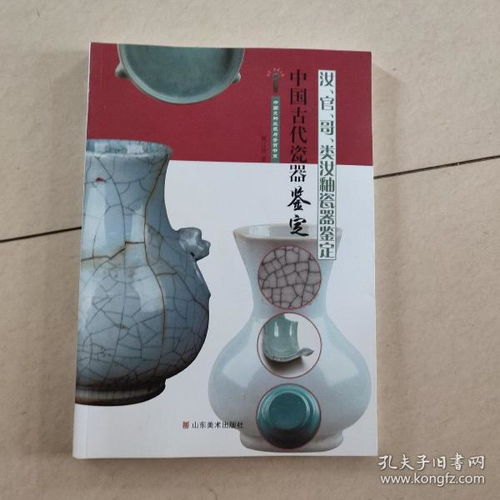 中国文物收藏与鉴赏书系 中国古代瓷器鉴定——汝、官、哥与类汝釉瓷器的鉴定与组织文物鉴定活动的实践